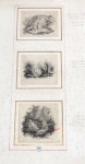 Conjunto  de 3 pequenas gravuras francesas do século XIX, emoldurado, 35x22 cm