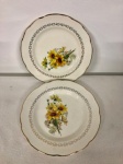 2 pratos em faiança francesa de Gien, 19 cm