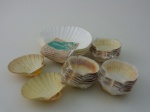 Vinte conchas para servir frutos do mar, medindo 9 cm diâmetro  9 cm, e  quatro conchas diâmetro 16 cm.
