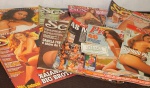 Lote com revistas diversas (desgastes)