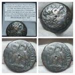 39 - MGR160 - Ptolomeu VIII Euergetes II AE - PEÇA ESCASSA