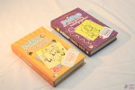 2 livros Diário de uma garota nada popular, edição capa dura. Sendo um deles "Histórias de uma pop star nem um pouco talentosa" e " Histórias de uma baladeira nem um pouco glamourosa".