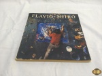 Livro Flavio Shiró da editora Salamandra.