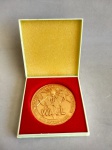 MEDALHA DOURADA NA CAIXA WACL . MEDE 6 CM .