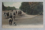 COLECIONISMO - Cartão Postal - Paris - Sem uso - L'Avenue du Bois de Boulonge - Séc. XX