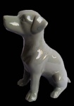 Belo cão em porcelana com riqueza de acabamento. Medida 15x17,5cm.