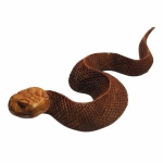 Cobra em madeira talhada com riquíssimos detalhes. Exemplar antigo e em excelente estado de conservação. Dimensões: 32 cm x 11 cm x 7 cm.