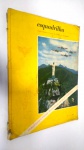 Revista Esquadrilha Nº 45 ano 1964. Edição em homenagem ao Rio de Janeiro.*** regular, desgastes de uso e tempo, sem riscos ou rasuras