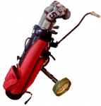Espetacular e único conjunto para golf, contendo: carrinho para transportar a bolsa, + bolsa com tacos da marca WILSON totalizando 11 tacos + pinos. OPORTUNIDADE