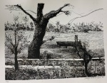 AUGUSTO RODRIGUES - gravuras, medindo: 37 cm x 52 cm (sem moldura)(no estado)