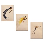 CELINA – Conjunto de três litografias com representação de pássaros: Viúva do Paraíso, Ave do Paraíso e Tesoura. 26,5 x 19,3 cm.