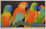 CLAUDIO JOSÉ TOZZI, (São Paulo, 1944) - `Papagalia`. Lito. 57/60. Ass. cid. 50 x 70 cm.