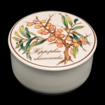 Caixa para joias de forma circular de porcelana. Tampa com decoração botânica. No fundo as inscrições: Villerou & Boch – Ancienne Manufacture Imperial et Royale Luxemburg – Botanica. Porcelaine. 4 x 8 cm.