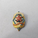 14.  Belo distintivo da Sociedade Voluntária para Assistência ao Exército, Aeronáutica e Marinha da URSS, cujo objetivo era fortalecer a capacidade de defesa da União Soviética e sua segurança nacional. 