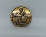 Moeda Bronze USA - Disney MGM Studios -  Theme Park - 4 cm de diâmetro - item de coleção sem embalagem
