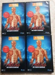 Coleção de 4 DVDs - Atlas do Corpo Humano na caixa . Não testado (Jub)