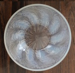LALIQUE - Chicore Bowl, catálogo Marcilhac, número  421, diâmetro 24 cm.