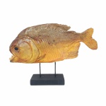 Peixe de coleção da espécie Piranha sobre base em madeira. Belo trabalho de taxidermia . Exemplar adquirido em feira livre. Dimensões: 16 cm x 25 cm.