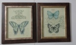 Dois quadros  gravura com vidro com borboletaras  Medidas: 53x43 cm