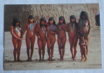 COLECIONISMO - Cartão Postal fotográfico colorido - Brasil Nativo - Med. 14,5cm x 10cm