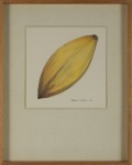 Aldemir Martins, gravura medindo 42 x 33 cm. Medidas com moldura.