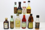 BEBIDAS - Lote de 10 miniaturas de bebidas diversas. Maior 12 cm e menor 8 cm. Com evaporações.