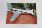 Fotografia original da miniatura gigante de um Avião da Força Aérea Brasileira