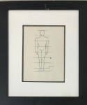 Sansom Flexor, `Anatomia` - Nanquim sobre papel - medindo 18x11 - A.C.I.D