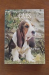 Livro O mundo maravilhoso dos cães, de Kay White