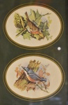 Conjunto de duas lâminas representando passáros na natureza -medida individual 10x09cm