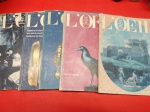 Lote de revistas L'OEIL