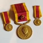 Lote de Medalhas e Miniaturas - 35