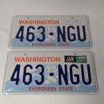 Automobilismo Par de Placa de carro americana do estado de Washington nos Estados Unidos. Ano de 2002 no adesivo de licenciamento de uma delas. Lindo Item para decoração de garagem