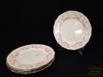 Alfred Meakin-Jogo 6 pratos  rasos  decorados com flores porcelana  Inglesa.  Medida 22,5 cm de diametro