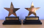 2 troféus em resina de estrela QUALIDADE ACADÊMICA . Mede: 18 x10 cm (Fk)