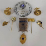 Conjunto de pins e medalha premiais do LIONS .