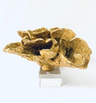 Escultura representando coral marinho em tom dourado, com base quadrada em vidro. Med. 22x32 cm. 