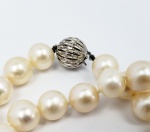 LINDO COLAR DE PÉROLAS SOUTH SEA COM 10 MM.  EXTREMAMENTE BRANCAS! FECHO COM FEITIO DE BOLA EM OURO 18K. 66 CM DE COMPRIMENTO. 80,7 G