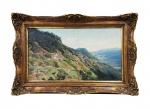 BENEDITO CALIXTO   PANORAMA DA SERRA DO MAR NA DESCIDA PARA SANTOS COM ASPECTO DA FERROVIA SÃO PAULO RAILWAI (JUNDIAÍ SANTOS) E FUNICULAR DE PARANAPIACABA COM VIADUTO DA GROTA FUNDA. OST, ASSINADO NO CID E DATADO 1907. IMPRESSIONANTE E HISTÓRICO QUADRO PINTADO PELO GRANDE ARTISTA PAISAGISTA PAULISTA. ENTRE A LUXURIANTE VEGETAÇÃO DA SERRA DO MAR CALIXTO CAPTOU COM LUMINOSIDADE ESTONTEANTE A PAISAGEM MAGNIFICA DA SERRA CORTADA PELA FERROVIA SÃO PAULO RAILWAI. UMA LOCOMOTIVA COM COMPOSIÇÃO DESCE A SERRA PRESTES A ENTRAR NO TÚNEL. AO LONGE A VILA DE PARANAPIACABA, ACESSADA PELO FUNICULAR E O MAIOR DESAFIO DE ENGENHARIA PARA CONSTRUÇÃO DA FERROVIA: O VIADUTO DA GROTA FUNDA. ALIADO À BELEZA IMPAR DO LOCAL CALIXTO PARECE QUERER DESTACAR A ENGENHOSIDADE DA CONSTRUÇÃO QUE NA ÉPOCA FOI UM ASSOMBRO DE ENGENHARIA. UMA SEQUÊNCIA DE TUNEIS QUE TIVERAM DE SER CONSTRUIDOS SEM O AUXÍLIO DE EXPLOSIVOS POR CAUSA DA INSTABILIDADE DO TERRENO ABRILHANTA AINDA MAIS A VITÓRIA DO HOMEM SOBRE A SERRA, ATÉ ENTÃO INTRANSPONÍVEL. MAGNÍFICA MOLDURA! QUADRO DIGNO DA PINACOTECA, PRA SER HONESTO, O CALIXTO MAIS BONITO QUE JÁ VI! 43 X 33 CM (SEM CONSIDERAR O TAMANHO DA MOLDURA)NOTA: O periódico carioca Jornal do Commercio, edição do dia 17 de novembro de 1886, relatou a passagem de D. Pedro II por Santos e São Vicente. E a partir dela, registramos aqui este interessante episódio relacionado a ferrovia São Paulo Railway e o Viaduto da Grota Funda.  Conta-nos o periódico: O imperador partiu da capital pelo trem da São Paulo Railway (SPR) às sete horas da manhã do dia 13 de novembro de 1886. Ainda que não estivesse chovendo, a cerração era forte no alto da Serra do Mar, o que impossibilitou a comitiva vislumbrar a bela paisagem panorâmica da Baixada Santista. Por outro lado, o que o mau tempo não impediu foi o impulso juvenil do monarca em realizar o desejo de atirar pequenas pedras do alto do maior viaduto da estrada de ferro, na Grota Funda. Ele ordenara os maquinistas a pararem a composição no meio do viaduto para verificar, alegremente, quanto tempo era gasto pelas pedrinhas na breve queda até o fundo do precipício. Após alguns minutos dispendidos na brincadeira, a viagem prosseguiu até Santos, onde a comitiva imperial foi recebida às 10 horas. A Estrada de Ferro Santos-Jundiaí (EFSJ), que da sua inauguração em 1867 até ao ano de 1946 foi denominada São Paulo Railway Company (SPR), foi uma ferrovia do estado de São Paulo. Ligava o município de Santos a Jundiaí, tendo como principal ponto de passagem a cidade de São Paulo.  Em 1859, Irineu Evangelista de Souza, junto com um grupo de pessoas, convenceu o governo imperial da importância da construção de uma estrada de ferro ligando São Paulo ao Porto de Santos. O trecho de 800 metros de altitude e 8 quilômetros de extensão da serra do Mar era considerado impraticável; por isso, Mauá foi atrás de um dos maiores especialistas no assunto: o engenheiro ferroviário britânico James Brunlees. Brunless veio ao Brasil e considerou o projeto viável; para executar o projeto, foi convidado Daniel Makinson Fox, engenheiro que havia acumulado experiência na construção de estradas de ferro através das montanhas do norte do País de Gales e das encostas dos Pireneus. Fox propôs que a rota para a escalada da serra deveria ser dividida em 4 declives, tendo cada uma a inclinação de 8%. Nesses trechos, os vagões seriam puxados por cabos de aço. No final de cada declive, seria construída uma extensão de linha de 75 metros de comprimento, chamada de "patamar", com uma inclinação de 1,3%. Em cada um desses patamares, deveria ser montada uma casa de força e uma máquina a vapor, para promover a tração dos cabos. A proposta foi aprovada por Brunless e a nova empresa para a construção da Funicular de Paranapiacaba foi criada: a "São Paulo Railway Company". No alto da serra foi implantada uma estação que serviu de acampamento para os operários, denominada de Paranapiacaba. Ela possibilitava a troca de sistema pelos trens.  A estrada foi aberta sem o auxílio de explosivos, pois o terreno era muito instável. A escavação das rochas foi feita apenas com cunhas e pregos. Alguns cortes chegaram a 20 metros de profundidade. Para proteger o leito dos trilhos das chuvas torrenciais foram construídos paredões de alvenaria, variando de 5 a 20 metros de altura, o que consumiu 230.000 metros cúbicos de alvenaria. A despeito de todas as dificuldades, a construção terminou 10 meses antes do tempo previsto no contrato, que era de oito anos. A "São Paulo Railway" foi aberta ao tráfego a 16 de fevereiro de 1867. O grande volume de café transportado para o Porto de Santos fez com que em 1895 se iniciasse a construção de um novo trecho para transposição da serra, paralelo ao antigo. Este trecho passou a ser conhecido como "Serra Nova", em contraposição ao pioneiro, denominado "Serra Velha". Para essa nova estrada foi utilizado um sistema endless rope, ou "corda sem-fim". Nesse sistema o percurso era dividido em cinco seções: em cada uma delas havia máquinas de 1000 cv instaladas em posições subterrâneas, embora estas máquinas não ultrapassassem a potência de 951 cv. Para cada composição que subia havia uma outra composição de peso próximo ou equivalente, de modo a contrabalançar as forças de subida e descida e desta maneira, permitir às máquinas fixas, um esforço mínimo. Em 1889 foram feitos os primeiros protestos contra o monopólio britânico sobre a rota do porto. Porém, este seria mantido até o ano de 1935, quando a Estrada de Ferro Sorocabana construiu uma Linha própria entre Mairinque e Santos. BENEDITO CALIXTO: Benedito Calixto de Jesus (Itanhaém, 14 de outubro de 1853 São Paulo, 31 de maio de 1927) foi pintor, desenhista, fotógrafo, professor, historiador, decorador, cartógrafo e astrônomo amador brasileiro e é considerado um dos maiores expoentes da pintura brasileira do início do século XX. O artista manifesta a tendência para a pintura desde muito jovem. Em 1881, passa a residir em Santos, cidade que lhe serve de inspiração para vários quadros. Seu trabalho causou tamanho entusiasmo que a elite da cidade concede uma bolsa para que aprimore seus conhecimentos em Paris. É com o quadro Inundação da Várzea do Carmo (1892), que o artista consegue maior destaque: a crítica da época aponta a exatidão admirável com que representa a cidade de São Paulo e alguns de seus principais pontos. O artista realiza diversas obras para o Museu Paulista, sob encomenda de Afonso d'Escragnolle Taunay, sobretudo cenas da São Paulo antiga e paisagens. Para seus quadros históricos e religiosos, realiza estudos fotográficos preparatórios, para os quais se vale de minuciosa pesquisa histórica. As paisagens são a temática mais cara ao artista. Nessas obras, apresenta uma pintura lisa, com o uso de velaturas e um colorido sempre fiel às características locais, embora trabalhado de maneira bastante pessoal no uso dos verdes, azuis e ocres. Benedito Calixto, dispunha de amplo conhecimento sobre o litoral paulista, e atua ainda como cartógrafo, realizando ensaios de mapas de Santos, e como historiador, escrevendo sobre as capitanias paulistas de Itanhaém e São Vicente. Diferente da típica trajetória dos consagrados artistas brasileiros da época, Calixto não frequentou a Academia Imperial de Belas Artes, no Rio de Janeiro. Começando como autodidata, teve sua formação em ateliês e escolas de arte do estado de São Paulo. Iniciou sua carreira como retratista na cidade de Brotas, no interior estado. Passou a realizar trabalhos de propaganda em Santos, onde teve seu talento reconhecido pela elite da cidade, através da Associação Comercial, que acabou por patrocinar a sua ida à França, onde estudou na Académie Julien, em Paris. Teve como mestres Gustave Boulanger, Lefebvre e Robert Fleury. Destaca-se em suas obras um gosto acentuado pelo tema regionalista. O artista preocupou-se em construir uma carreira voltada para organizações ligadas à esfera pública e seus interesses. A cidade foi a temática central em todos os seus domínios. A afinidade às tradições populares, cívicas e religiosas formam seu traço característico, tendo se dedicado, nos últimos anos de sua vida, à pintura histórica, de costumes regionais e temas religiosos. Com obras compostas por pinturas de cenas históricas, retratos de figuras históricas e personalidades, painéis decorativos e vistas das cidades, Calixto escreveu memórias históricas sobre São Paulo, Santos, Itanhaém e o litoral santista. O maior aspecto de sua obra se concentra nas paisagens e marinhas do litoral paulista. A fotografia foi grande aliada e importante referência para o artista em suas produções, utilizada para estudo de composição, registro de cenas, preparação de posturas e organização dos personagens que povoavam sua pintura. O artista também escreveu contos, como o intitulado Costumes de Minha Terra e manteve contribuição intensa com jornais locais, nos quais publicava diversos artigos. Apesar de encomendas de quadros religiosos e de temática histórica e documentarista serem o que lhe rendeu maior reconhecimento, a observação da natureza e telas de paisagens e marinhas continuaram a ser parte importante de sua produção. Além da pintura, Calixto mantinha grande interesse pela história do litoral. Tal interesse fez com que, em 1895, o artista se tornasse sócio do Instituto Histórico e Geográfico de São Paulo (IHGSP), onde recebeu grande destaque pelas suas obras. A instituição também foi importante para a formação de seu pensamento historiográfico, na medida em que procurava honrar com integridade os fatos do passado. O artista escreveu diversos artigos para a revista da instituição, além de publicar livros e participar dos estudos que deram origem a um dos principais mapas que buscam reconstruir o processo de urbanização da cidade de Santos. Calixto foi também sócio fundador do Instituto Histórico e Geográfico de Santos. O artista teve sua carreira profundamente identificada com a elaboração de uma iconografia paulista associada ao acervo do Museu Paulista, sob a direção de Afonso d'Escragnolle Taunay, e com a colaboração do Instituto Histórico e Geográfico de São Paulo. Benedito Calixto manteve a atividade de pintor, trabalhando em constantes encomendas, até sua morte. Sua última exposição foi realizada no mês de junho de 1926, no Teatro Coliseu de Santos, onde apresentou principalmente cenas históricas. Deixou aproximadamente mil pinturas e, como forma de manter e valorizar suas obras e sua memória, instalou-se em Santos a Pinacoteca Benedito Calixto, onde um centro de documentação de sua obra foi instalado.