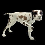 Estatueta na forma de cachorro da raça Pointer de porcelana policromada. 15 x 32 cm.