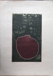 Cida. Sem título. Gravura em metal, 5/20.  61  x 44 cm. 1973. Sem moldura