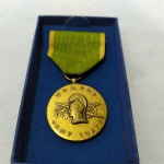 MILITARIA - Medalha original de época concedida às Mulheres das Forças Armadas Americanas, que lutaram na segunda guerra mundial, na caixa. 06