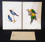 Raro Lote Duas Capas De Cardapio 31x21cm , E um Envelope VARIG , Para colecionadores de plantão