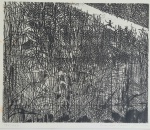 EVANDRO CARLOS JARDIM - ÁGUA FORTE E BURIL SOBRE ZINCO EXECUTADA 1967 , MED. 20 X 25 - 41 X 49 CM .