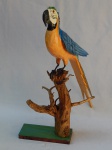EDIL - Escultura em madeira representando arara sobre galho. Assinada e localizada São João de Meriti - RJ. 60 x 32 x 37cm.