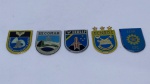 MILITARIA - Lote com 05 Distintivos da Força Aérea Brasileira (22)