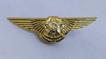 Brevê / Broche / Pin em metal com o Brasão da República Federativa do Brasil - Mede aproximadamente 4,5 centímetros.
