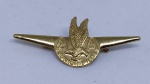 Brevê / Broche / Pin em metal da cia. Aérea American Airlines AA - Junior Pilot - Aviação - Mede aproximadamente 5,1 centímetros.
