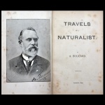 Autografado. Autor viajante: Adolph Boucard / Título: Travels of a Naturalist /A Record of a Adventures, Discoveries, History And Customs Of Americans And Indians, Habits and Descriptions of Animals, Chiefly Made in North America, Colombia, Chili, Etc., During The Last Forty-Two Years. By A. Boucard, Naturalist, Officier D'academémie, Knight Of The Royal Militairy Order Of The Conception Etc., Etc. 1894 / Ex-libris, 204 páginas / Autógrafo do autor / Fotografia do autor na portada / 22 x 15 x 2 cm.