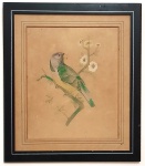 H. WENZEL - Pintor viajante - "PAPAGAIO" - Aquarela sobre papel, assinada. Séc.XIX.  Med. 39 x 33 cm. Moldura 56 x 49 cm.